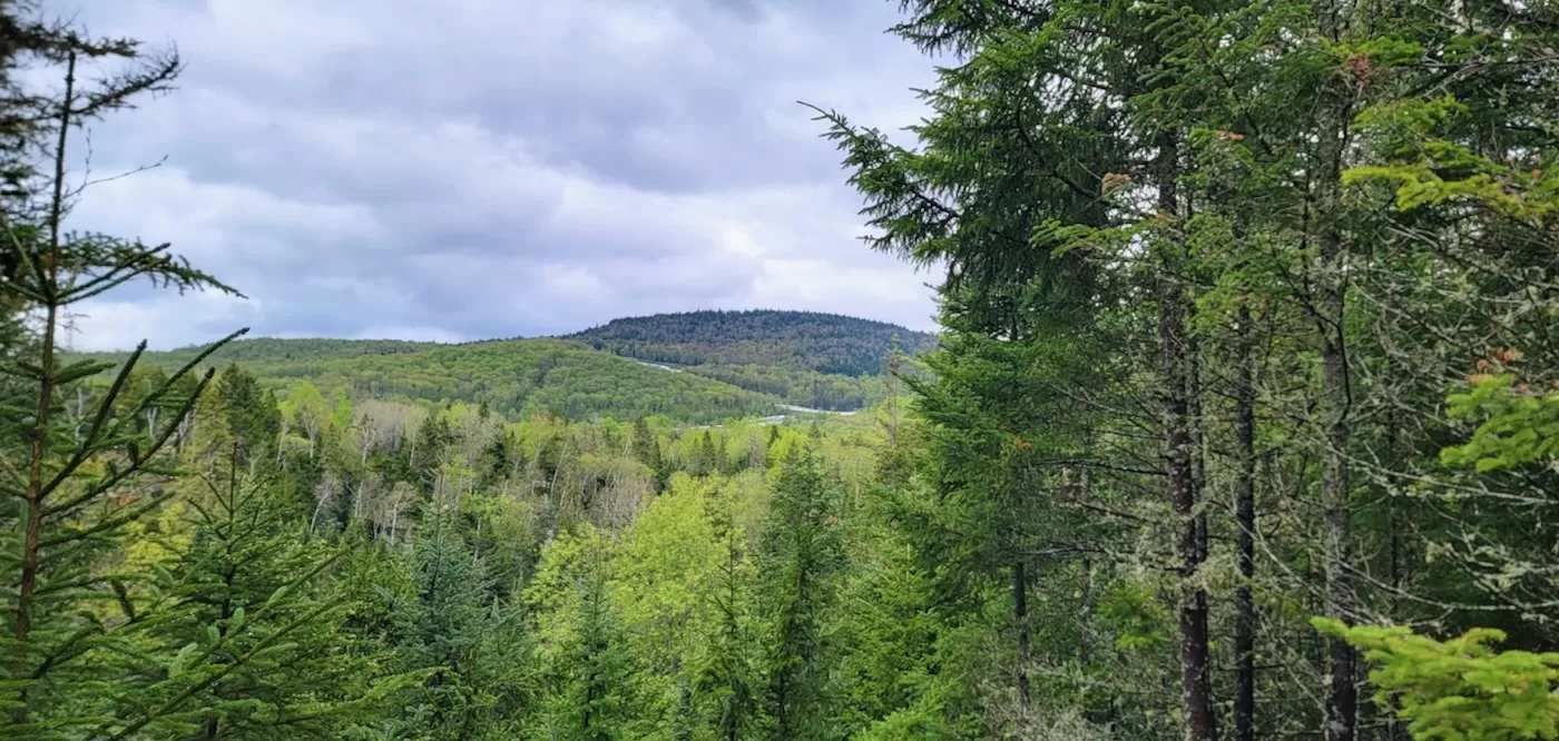 View of sliding track