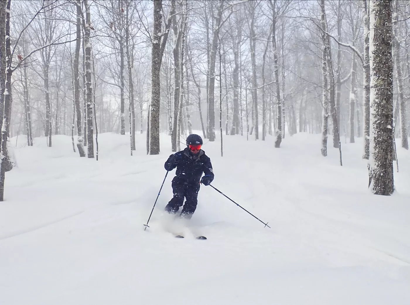 tree skiing