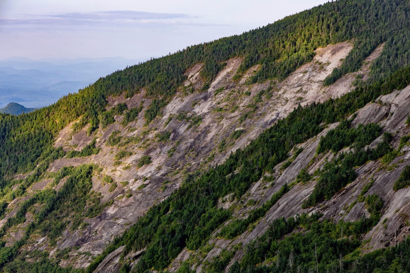 East Face